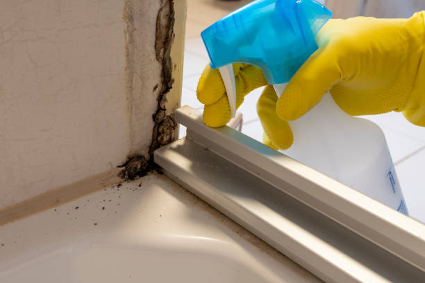 Best Mold Testing  in Rolesville, NC